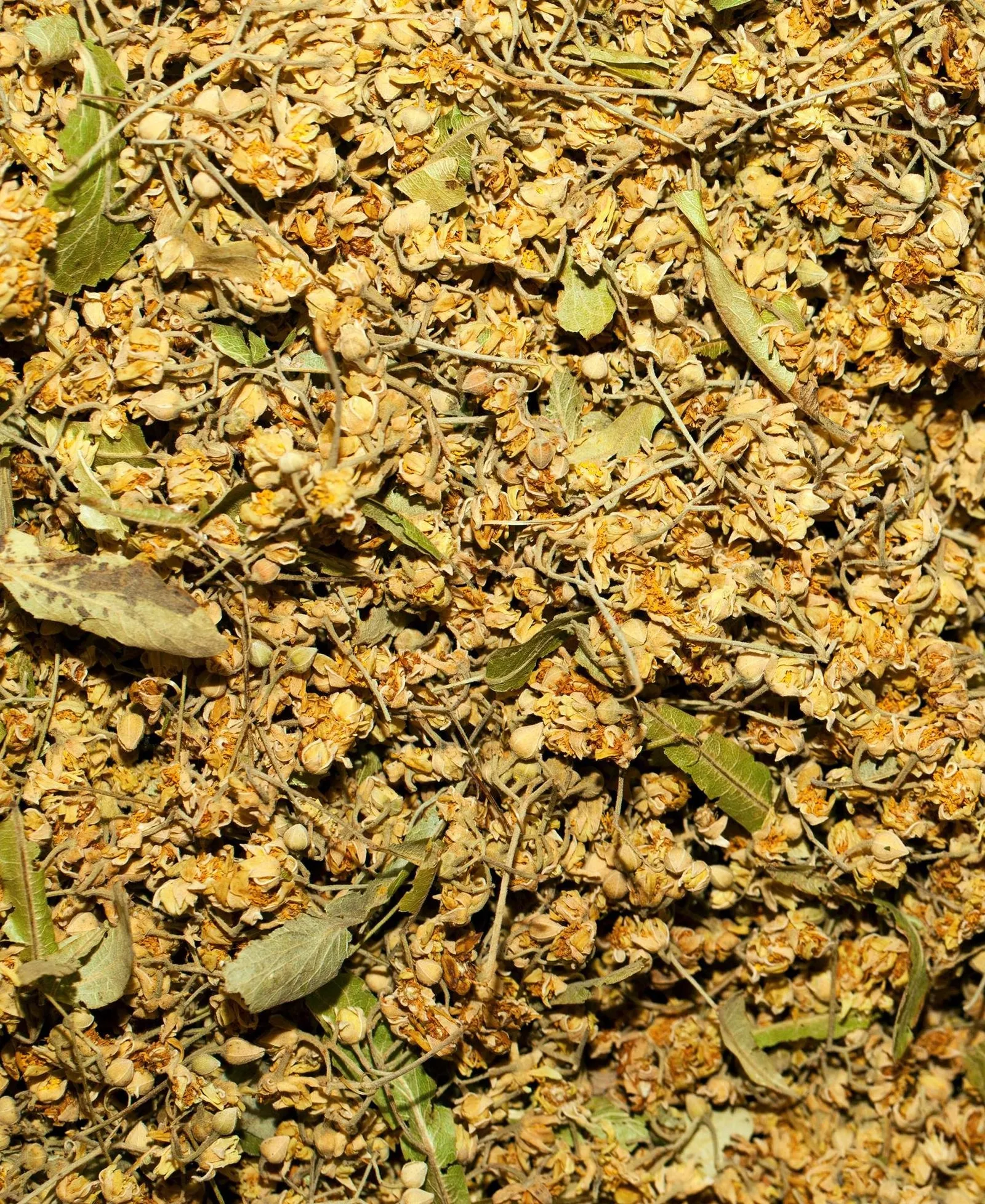 Ihlamur