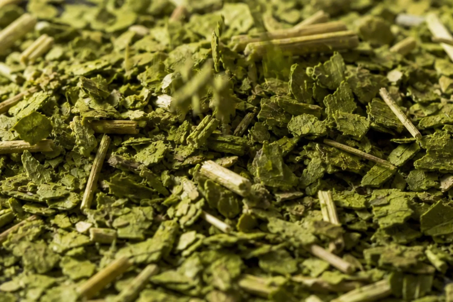 Mate Yaprağı